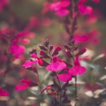 漫画男男 韩漫:探索多元爱情的奇幻世界与感人故事 0ogs7crw7c