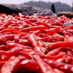 漫蛙漫画网防走失设置全攻略:保护你的阅读体验 13m67u