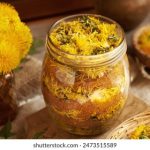 欧乐影院 摩登家庭:探讨家庭幽默与生活哲学的完美结合 2ef7ni