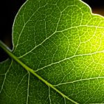 沈娜娜和夏晴子的合作有哪些:探索她们的音乐与影视作品精彩瞬间 2t5jf