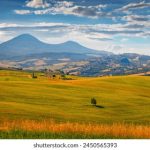 次元猫喵绅士:探索奇幻世界中的萌宠冒险 338f30