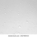 欢快猫咪派对:让每只猫都尽情享受的盛宴 3jk3mfe3