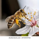 正在进入5秒墨镜哥:揭开这位神秘人物的真实身份与故事 45637l99