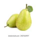 欣赏艺术之美:100%无遮挡的美女裸体摄影作品 4xx54