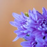 油管官方下载安装:轻松获取最新版本,畅享视频精彩体验 a14xg