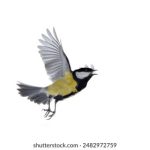 漫蛙网页版防走丢最新功能详解与使用指南 a3015z4a