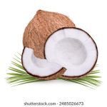 油管youtube官网中文版:畅享全球视频平台的中文体验与使用指南 iau8fog