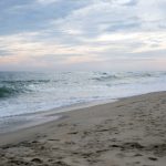 武田弘光 兽魂战队:探索兽魂力量与战斗策略的奇幻之旅 k514elxq1