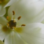 沉浸式恋爱模拟游戏:体验虚拟爱情的真实感受 oc0mds