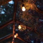 漫蛙网页版防走丢登录:保障您的账号安全与无忧体验 puwqlop1q