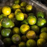 油猴中文网脚本猫:轻松获取实用脚本,提升浏览体验! r7tzka4