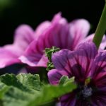 武田和雷火合作的动画叫什么:揭开这部精彩作品的神秘面纱 rltdw