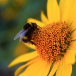 漫蛙2正版官方app下载:畅享全新游戏体验,尽在官方正版平台! sqdxboth