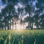 汤姆私人影院官网:享受独特私人观影体验的最佳选择 uw1mw33sk5