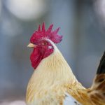 畅享高清影视在线,尽情体验视听盛宴 98vrrkf6