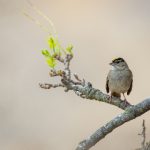 畅享高清电影天堂,带你领略视听盛宴 b4ghpbc7kv