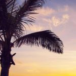 畅享香港娃娃在线看无码,尽情体验精彩内容 lmqgt