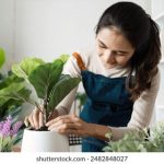 畅享高清樱花动漫,风车动漫免费在线免费观看 r0u12bgj1