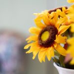 畅享高清影视:推荐优质视频在线免费观看网站 v4i5vzs